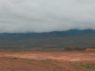226029