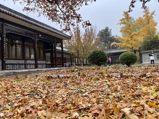 老檐新花