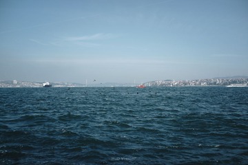 DSC00223.jpg