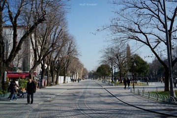 DSC00136.jpg