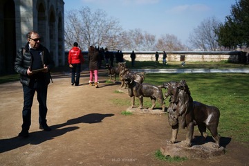 DSC00204.jpg