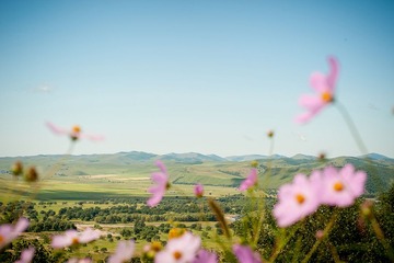 _SRZ2617