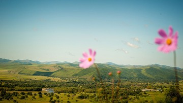 _SRZ2618