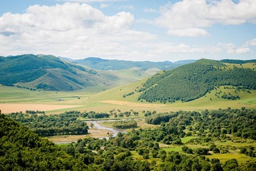 _SRZ2601