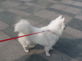 P1010210