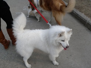 P1010231