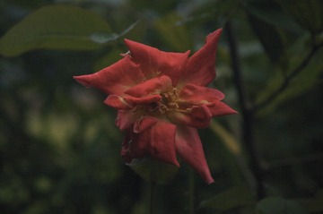 82383797-F28C-4B30-BC2F-27DA9330B8D8/L0/001