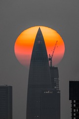 IMG_5105