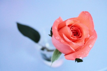 IMG_3689.jpg