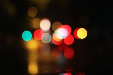 IMG_2596.jpg