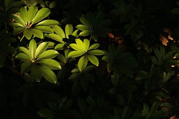 IMG_3998.jpg