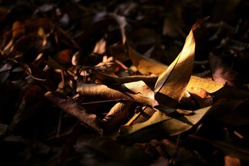 IMG_3953.jpg