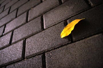 IMG_0067.jpg