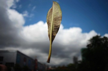 IMG_0865.JPG