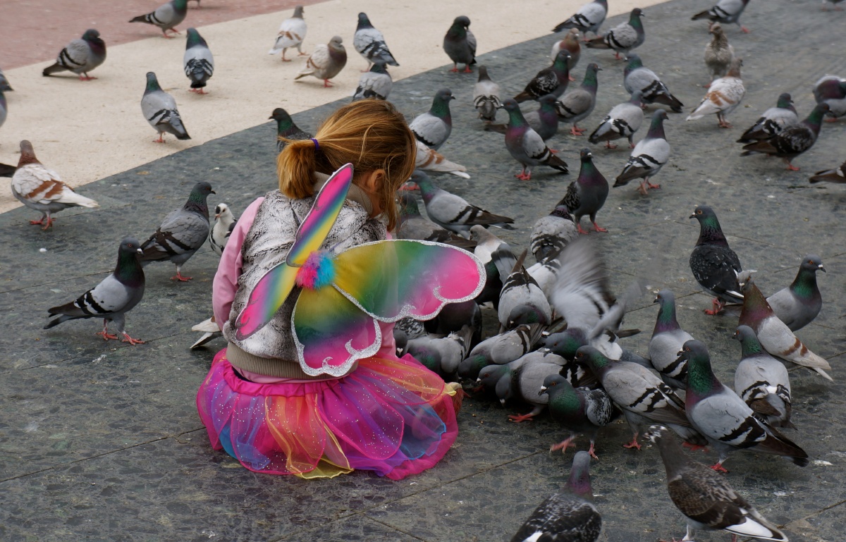 鸽群前的小女孩儿