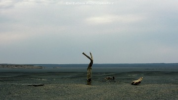 DSCN8749`