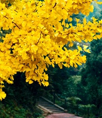 02EDE893-16D9-4E5D-973A-4C5D6C74F253/L0/001