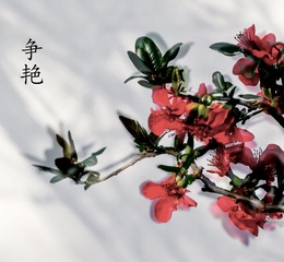 B8A278E7-7C06-4DAE-A06C-9E0F13A02F1B/L0/001