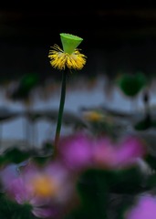 1DE9795F-E814-4AD2-B92E-3072E6E5413B/L0/001