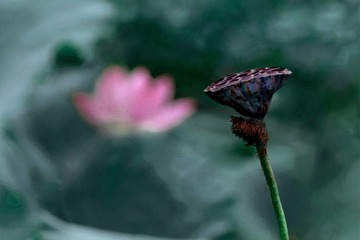 82F32E2D-9B09-4E8F-99D6-774C78FEA2E3/L0/001
