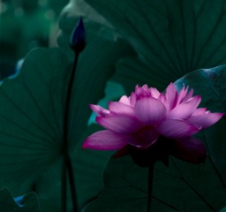 0927E95F-DBB3-4158-A115-4E9F1247E099/L0/001