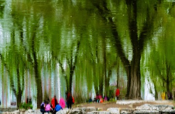 66F50CF6-8B4F-4DCC-A4DF-742CE01193AD/L0/001
