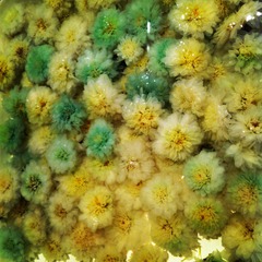 2014-03-27 153233