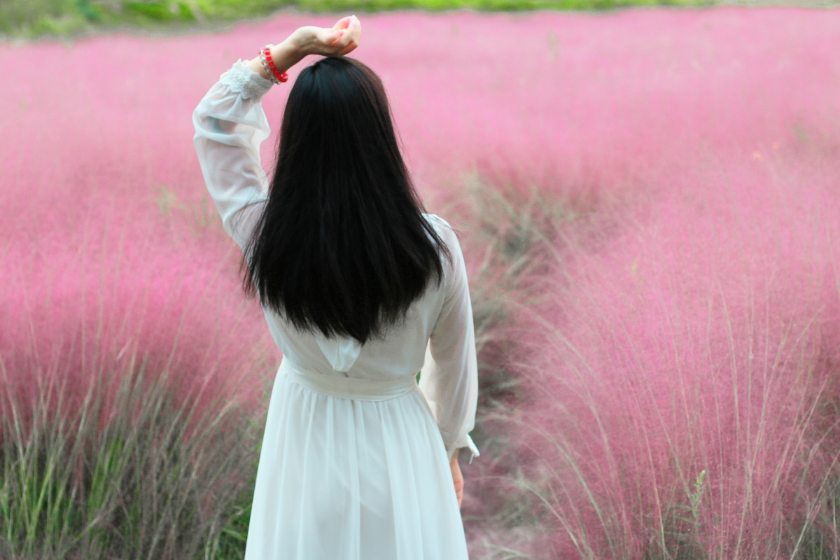 粉黛子背影人像