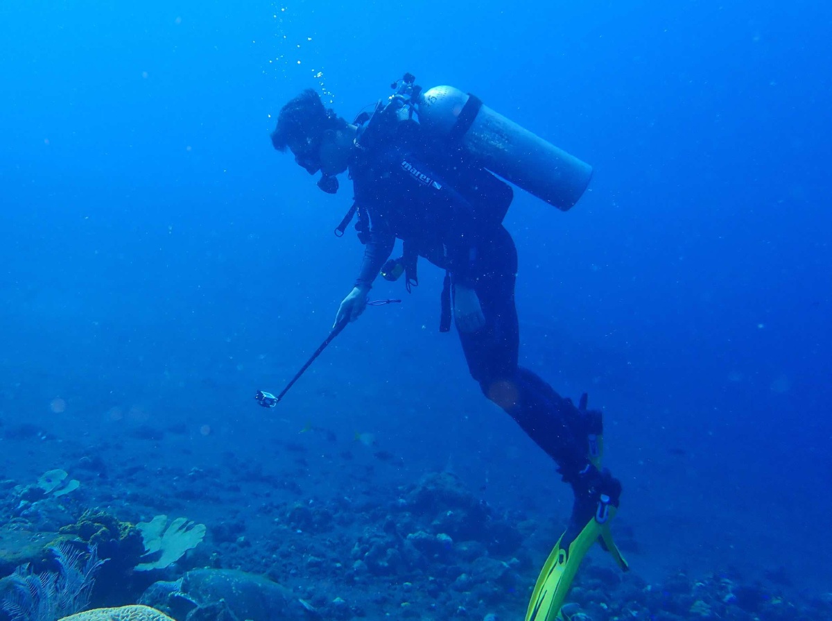 水肺潜水 - 天涯小酒壶_ - 图虫