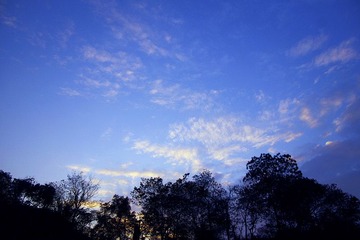 _IGP4971.jpg