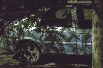 _IMG3540