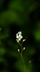 1201431