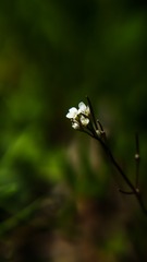 1201430