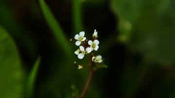 1201426