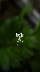 1201427