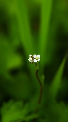 1201428