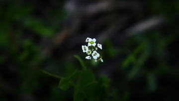 1201432