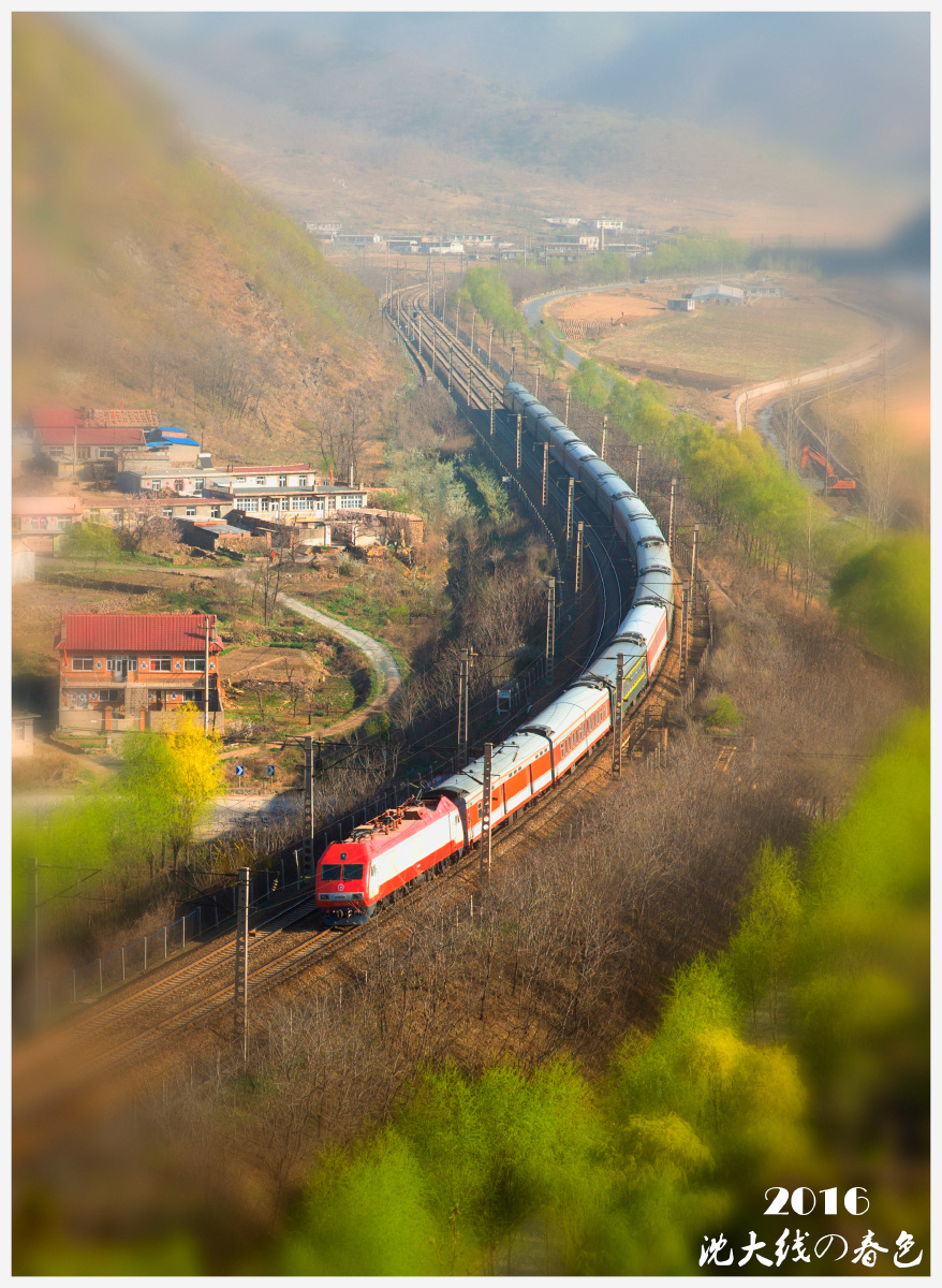 沈大线の春天明信片