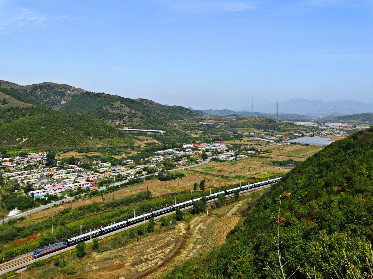 沈大线万家岭松树段秋景