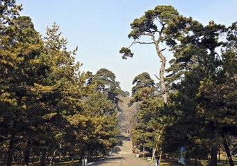 DSC00429_