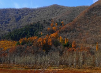 DSC04302_