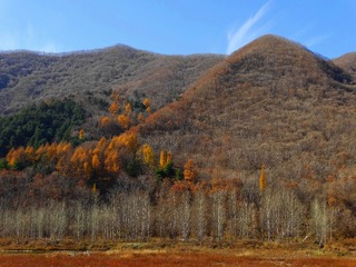 DSC04303_