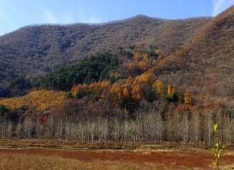 DSC04304_