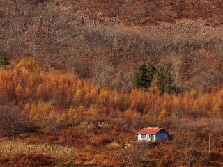 DSC04309_