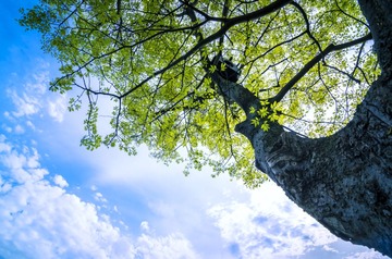 未命名拍摄-0336-11
