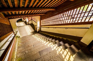 天童寺-3194-3