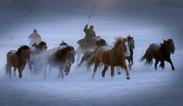 _Y4A1148-1-