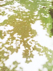 20140427_121711水印