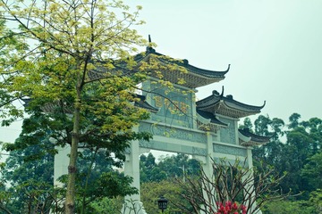 IMG_1110-编辑