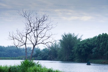 IMG_1565-编辑